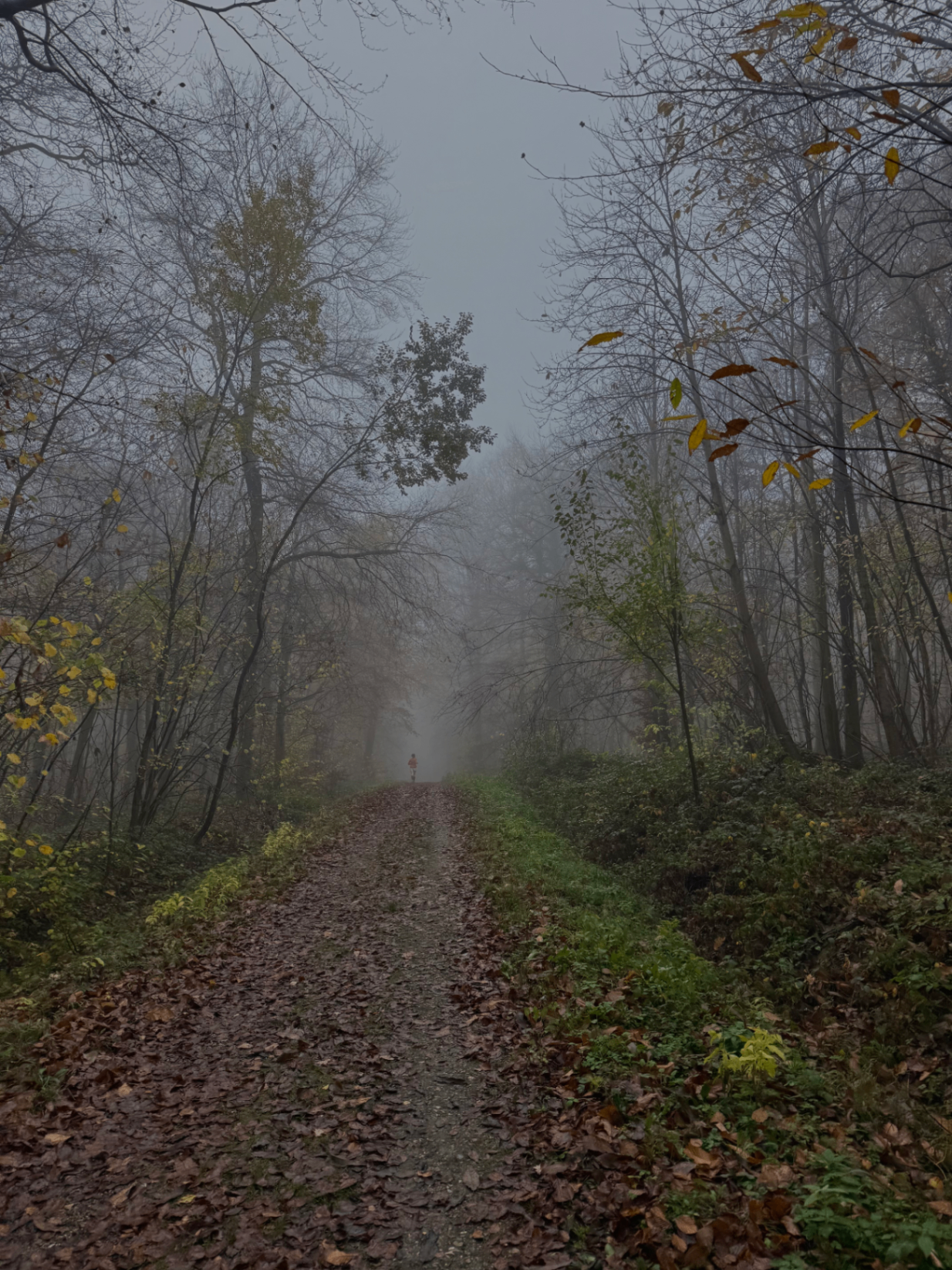 Un trail engagé pour la santé