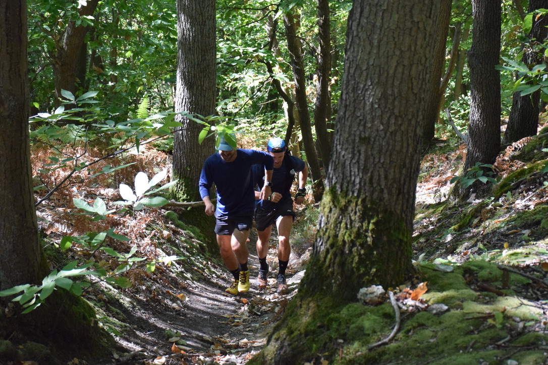 Deux coureurs en pleine ascension sur un sentier de la forêt de Marly-le-Roi
